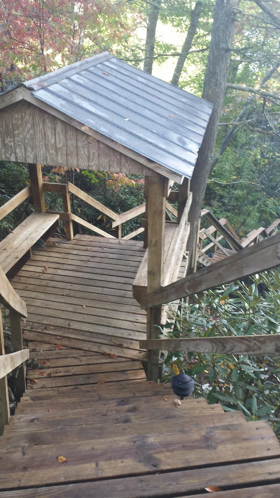 Metal roofed shelter over wooden steps on a wooded walkway — Skylight Repair & Installation work by our crew in Forest Knolls